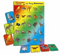 ОБУЧАЮЩИЕ КАРТОЧКИ НА МАГНИТАХ. ЖИВОТНЫЕ. (Арт.КМ-8878)