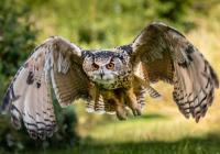 f37731f908d53213df0aa5229ab3eb03