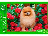 20d9f21a1cf150f27bd602d5d9bd82c6