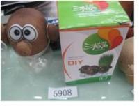 Голова с глазками с растущей травкой в банке 5908  4