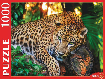 4c2460ad45006e183dec70e97da0ceac