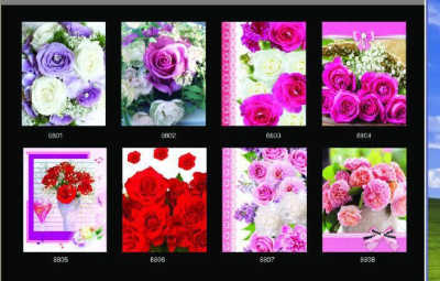 Пакет подарочный средний в ассортименте Е13241