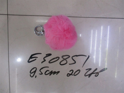 E30851 E30851