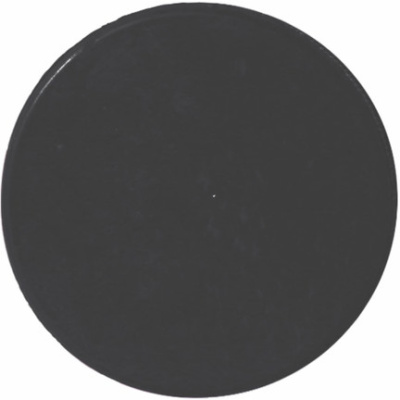 Шайба_Большая_