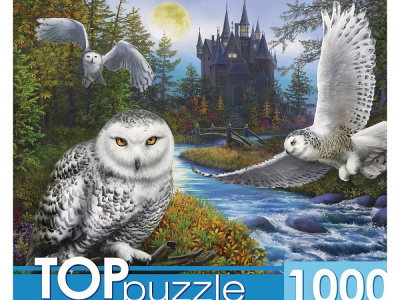 211af5e826b318866ced7dbc92534086