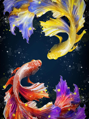 04054647752be28315aced85c1211d78