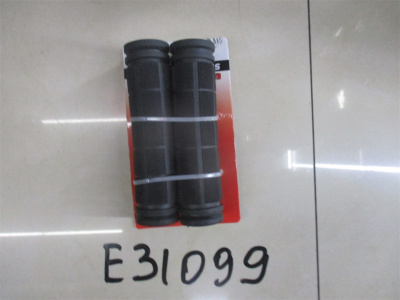 E31099
