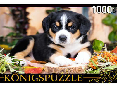 97c92246d4dff0b1fcad8445cb53f885