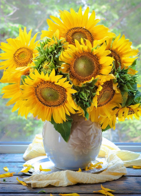 5f75697ea49a03ad1b62509244c1cbd6