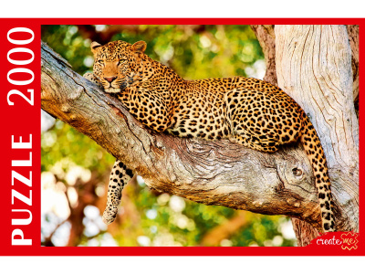 174acf2039c879c2099e52a914c6a105