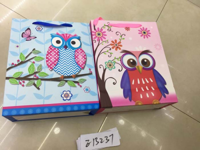 Пакет подарочный средний в ассортимете Е13237