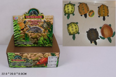 Животные Черепахи в дисплее 2 вида микс А015-Н42606