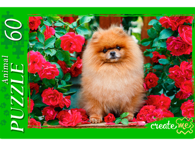 20d9f21a1cf150f27bd602d5d9bd82c6