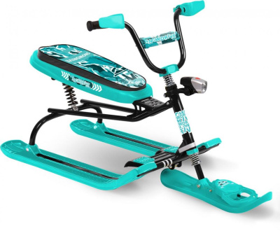 000000490230002_snd3_SP12_print_sidenjya_Snowpatrol_1_(biryuzovyy_karkas)-auto_width_1000